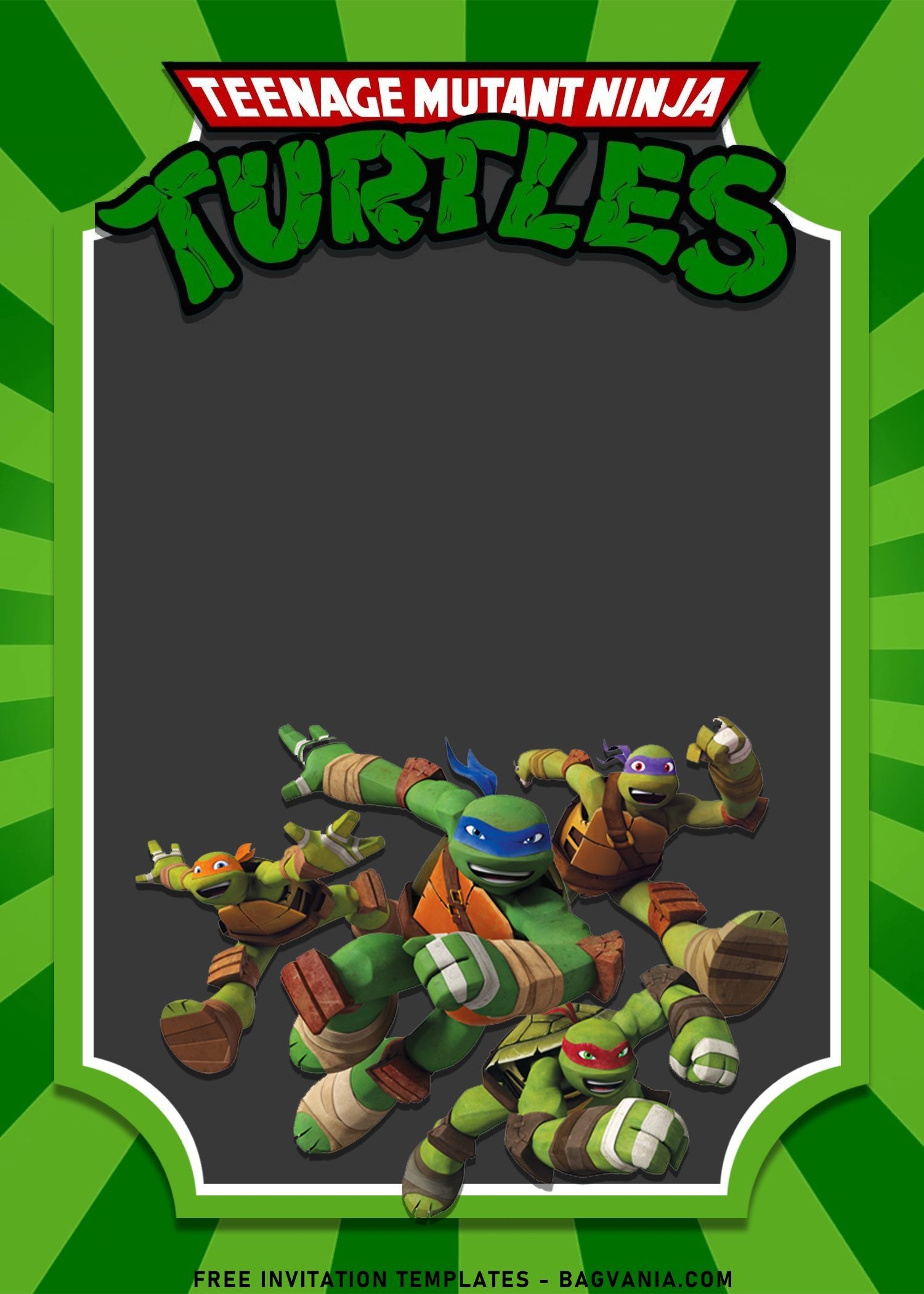 10 Awesome Teenage Mutant Ninja Turtles Birthday Invitation 