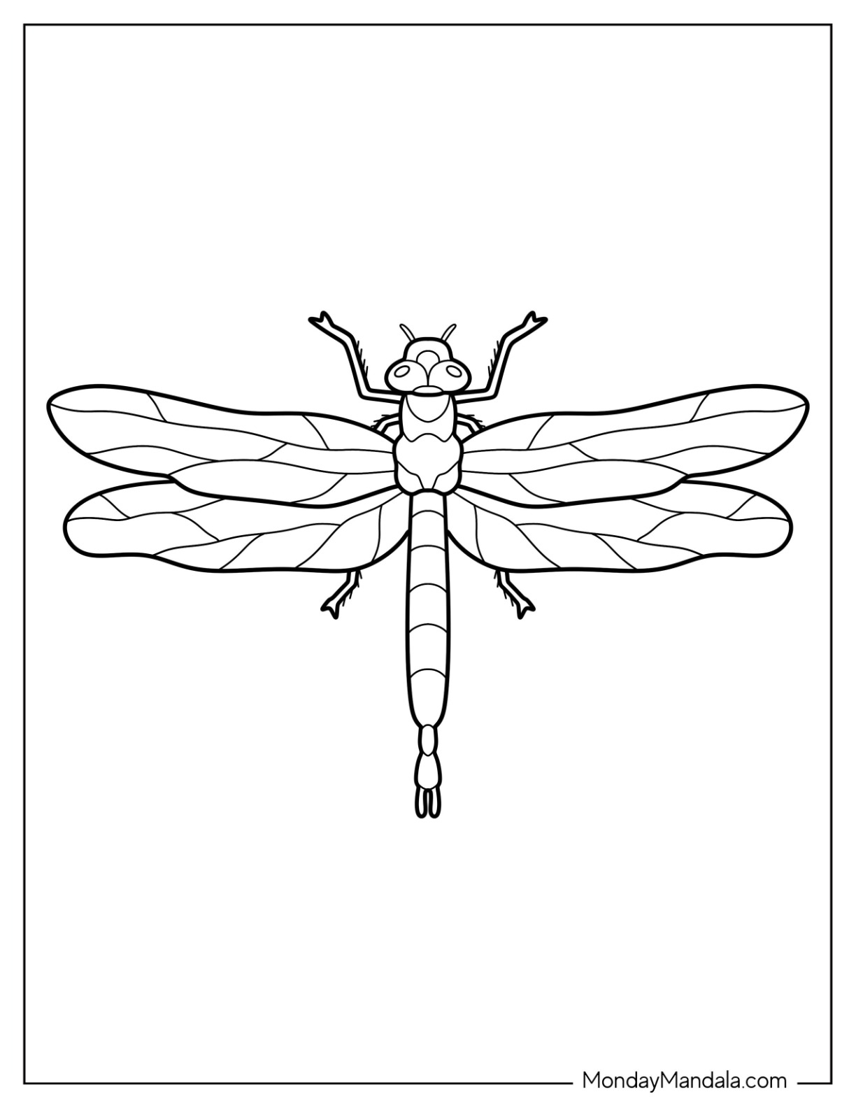 Dragonfly Template Printable