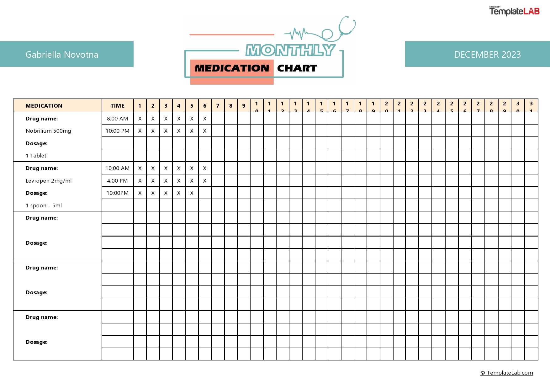 Printable Medication Chart Template