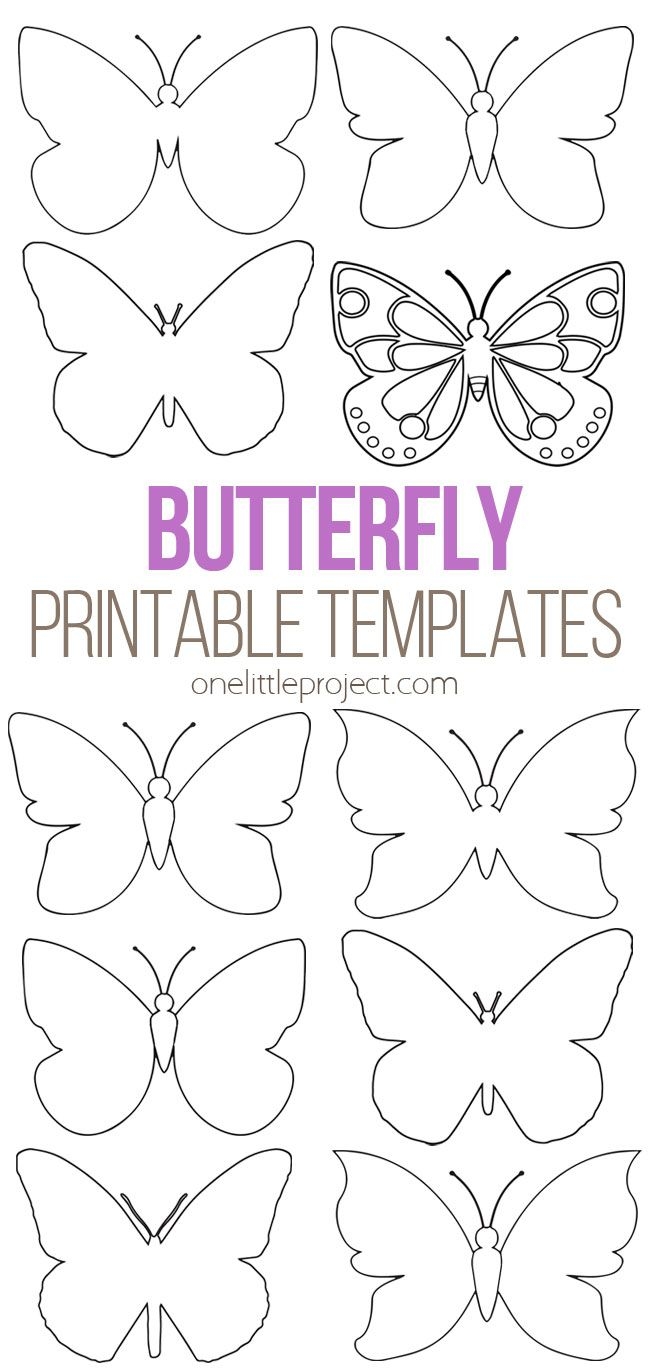 Printable Template Of A Butterfly