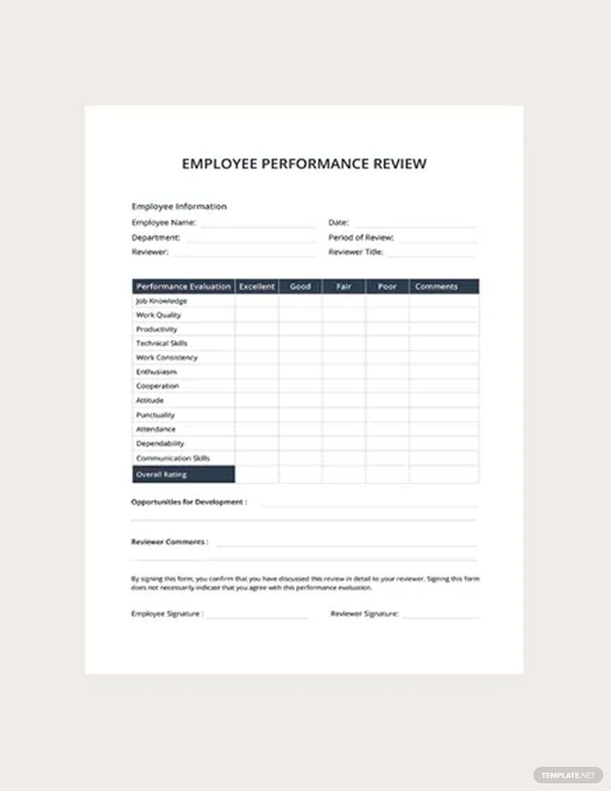Printable Employee Performance Review Template