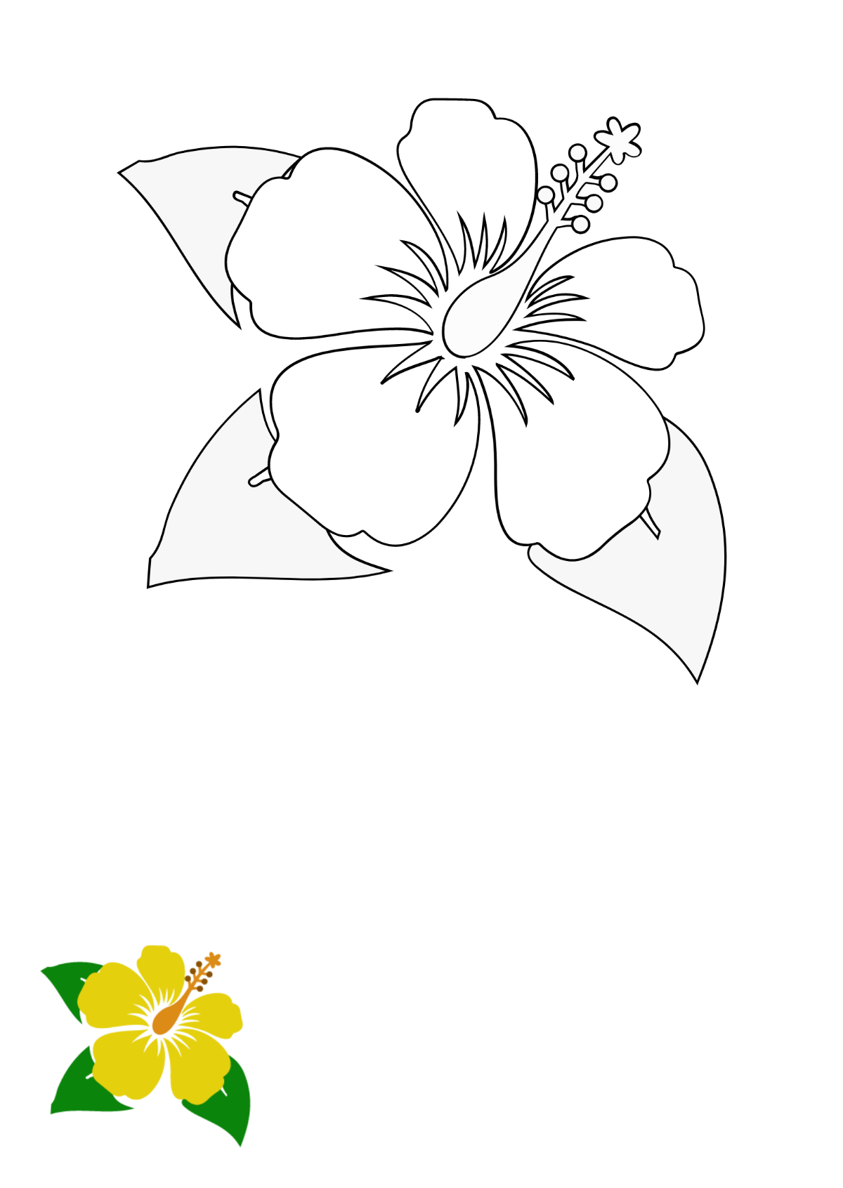 Free Printable Hibiscus Flower Template