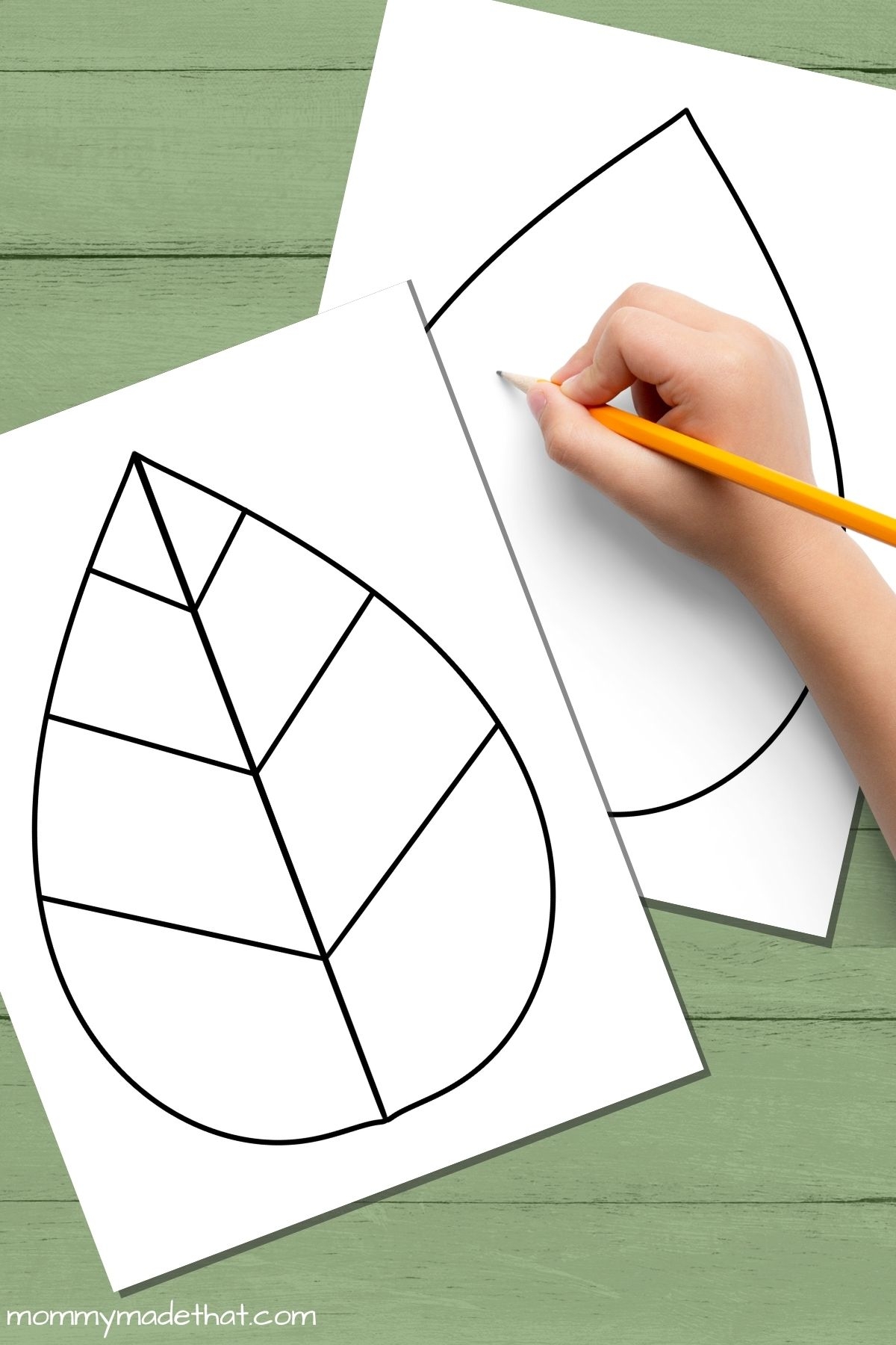 Free Leaf Templates amp Outlines Tons Of Printables 