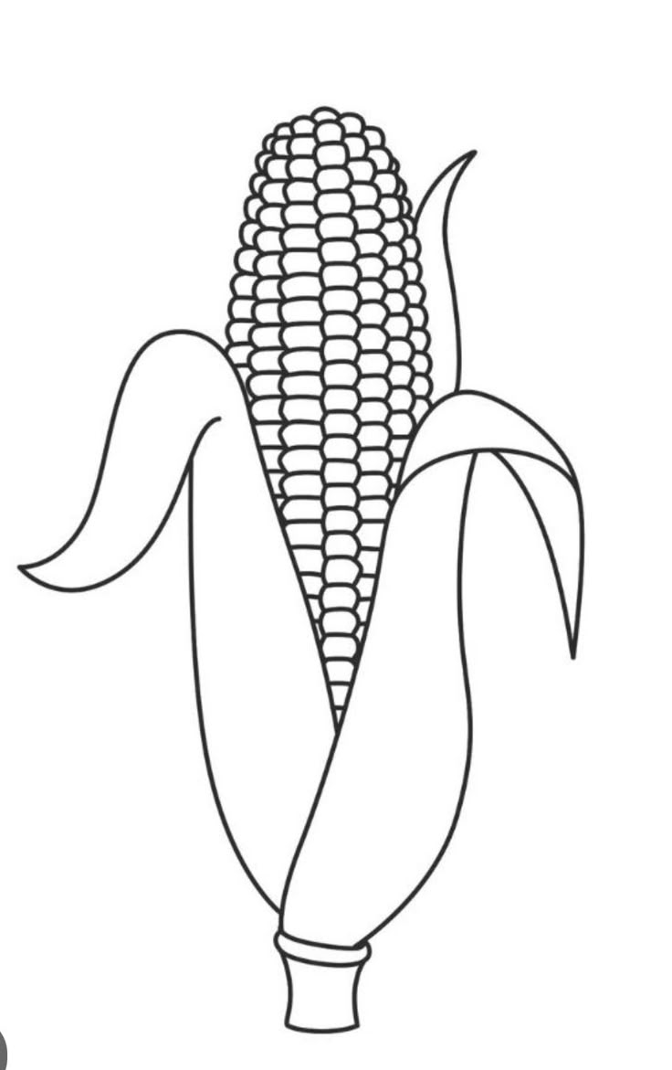 Corn On The Cob Printable Template