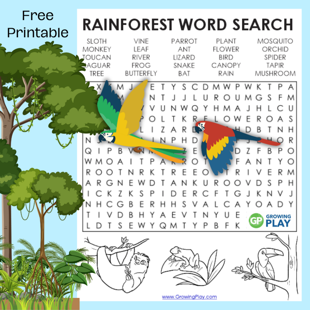 Rainforest Word Search Printable