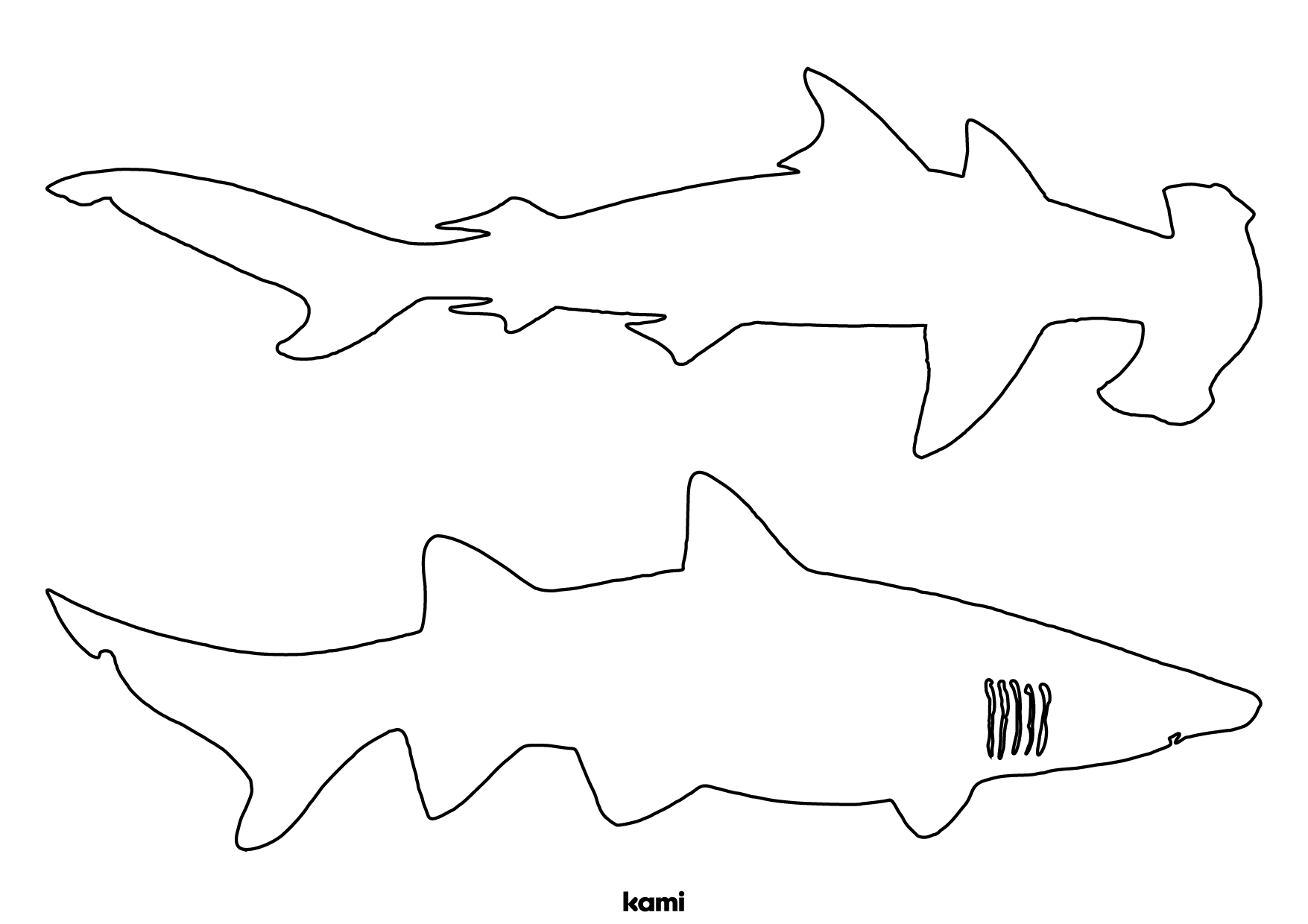 Shark Template Two Outlines For Teachers Perfect For Grades 