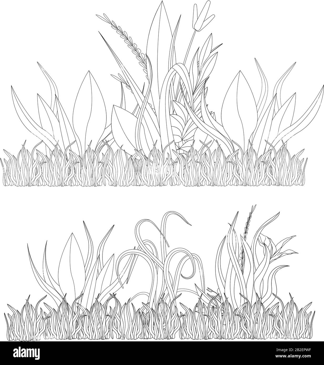 Vector Illustration Of Grass Natural Grass Elements Isolated 