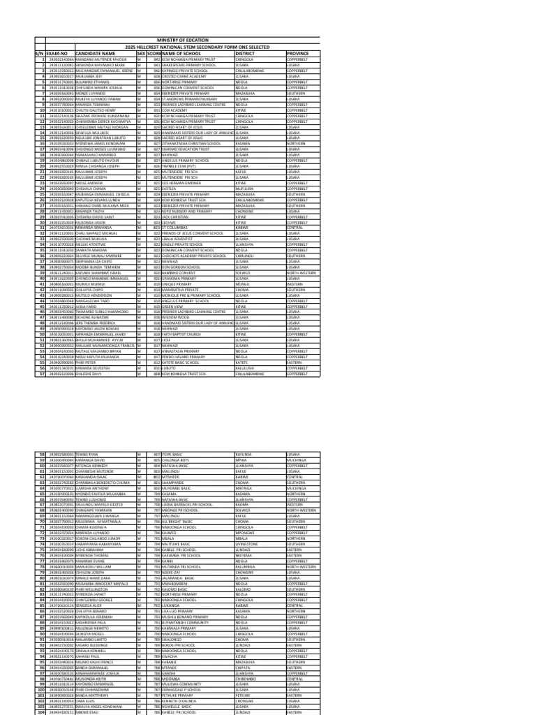 Form One 2025 Selection