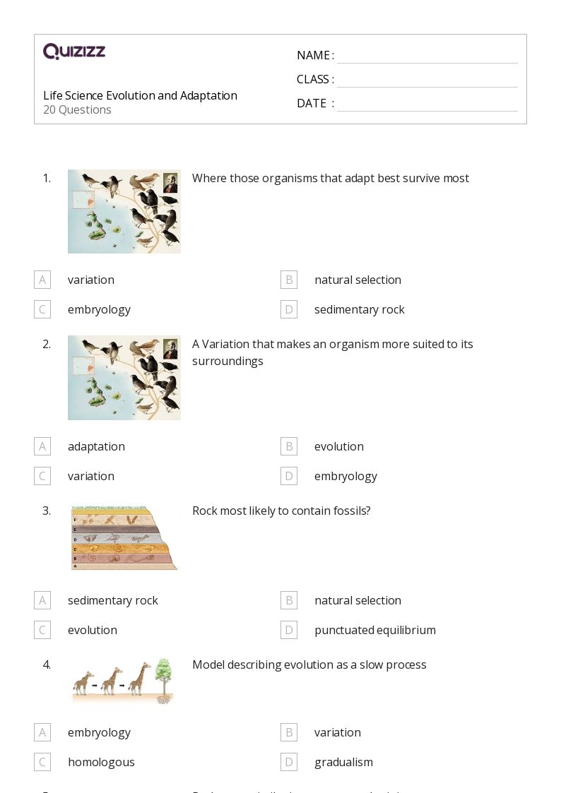 Free Printable Science Worksheets Grade 7