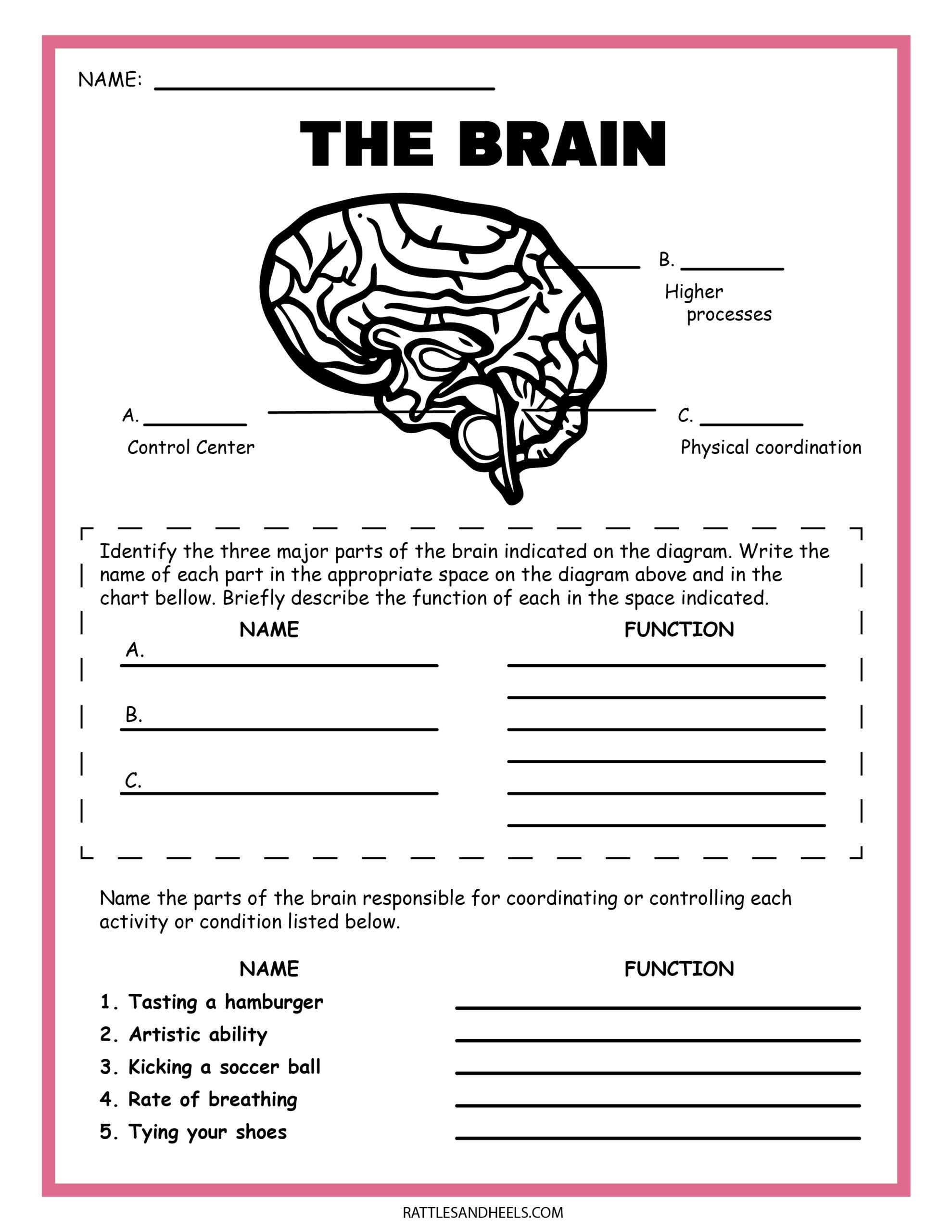 Free Printable Science Worksheets For Kids