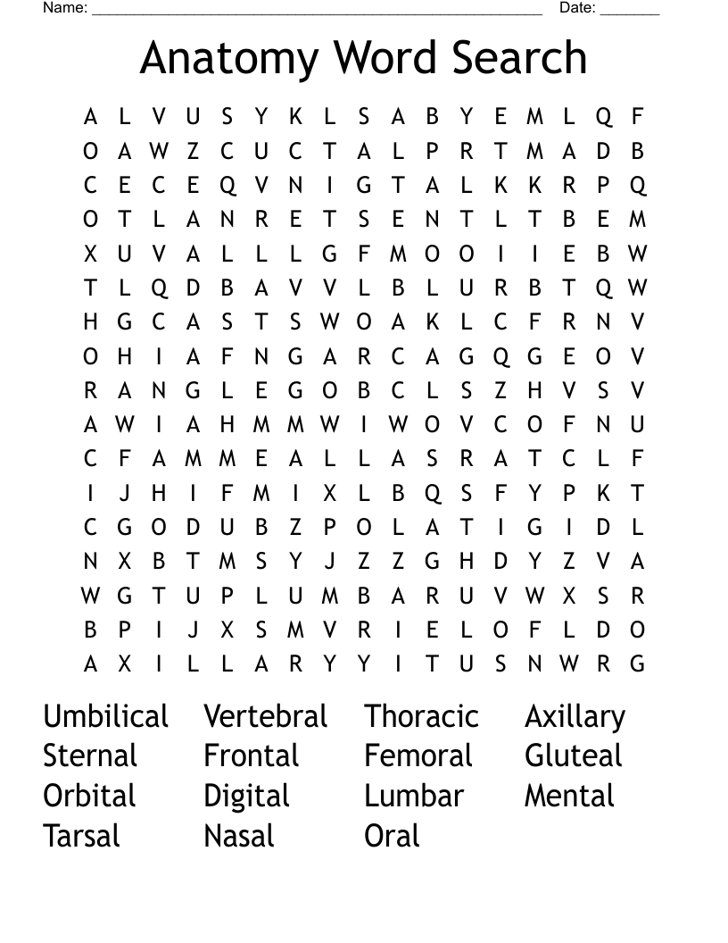 Greys Anatomy Word Search