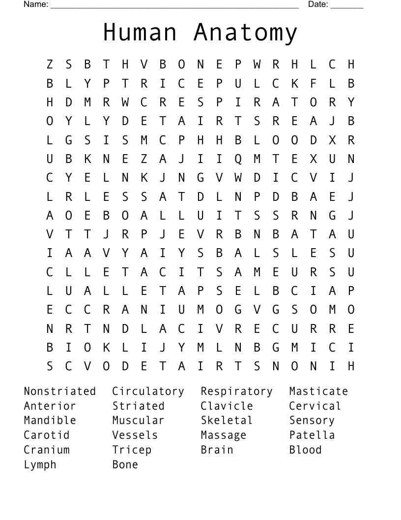 Anatomy Word Search Puzzles Printable