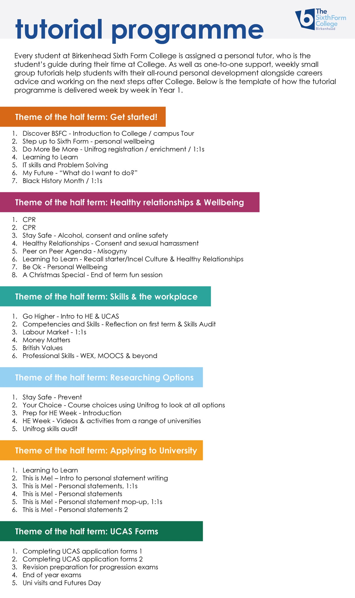 The Tutorial Programme Birkenhead Sixth Form College