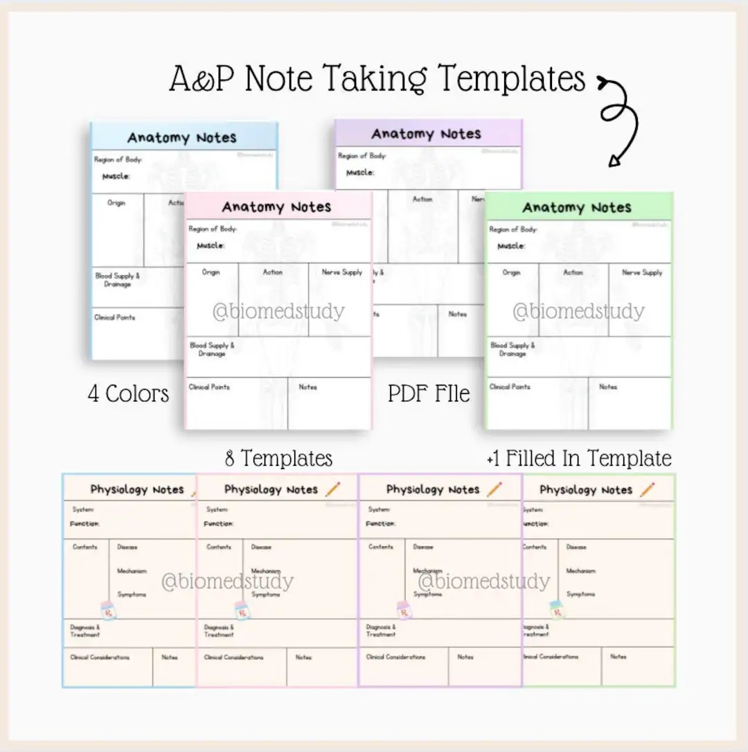 Anatomy And Physiology Note Taking Templates Study Guide 