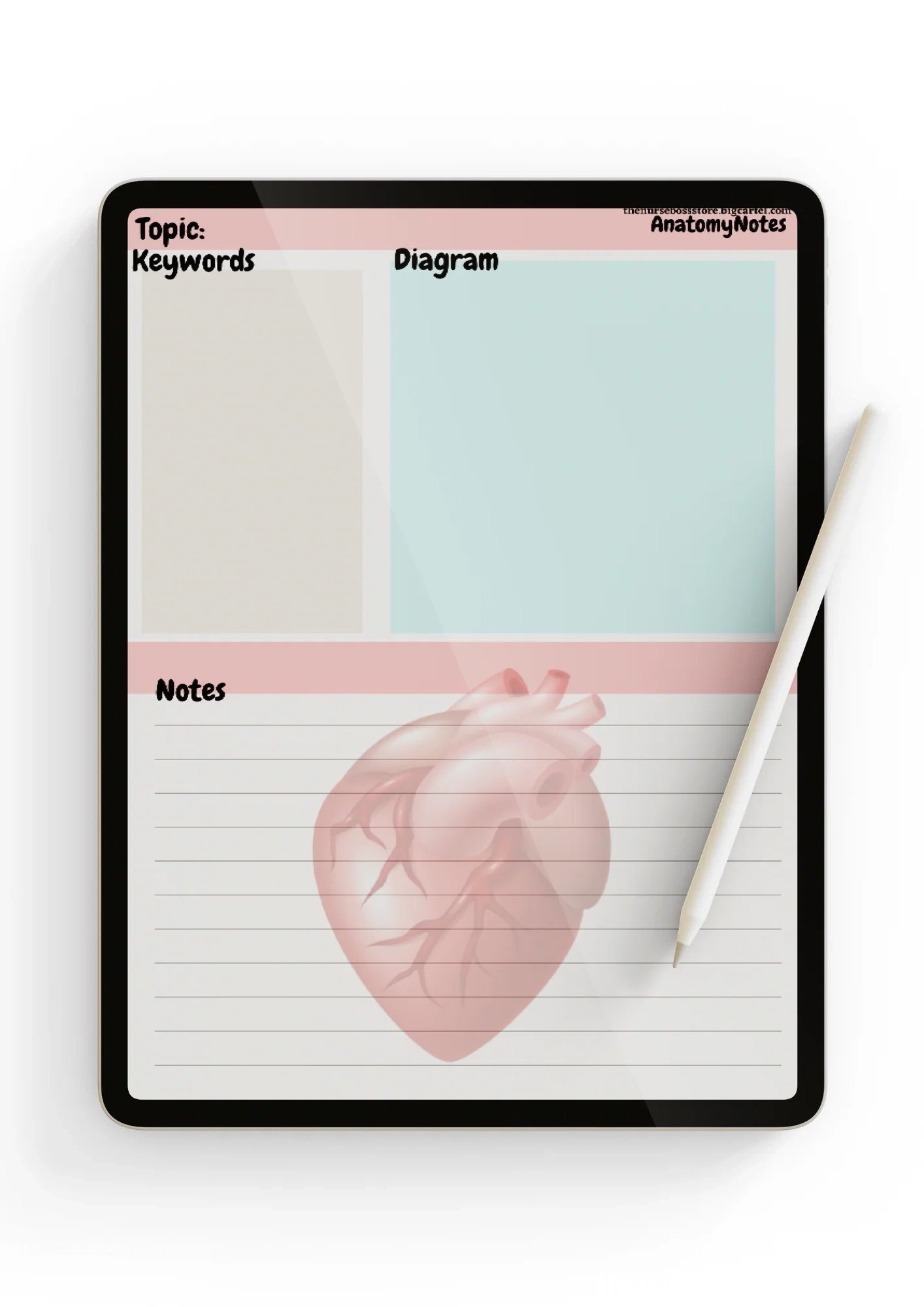 Anatomy Note Template DIGITAL PDF 