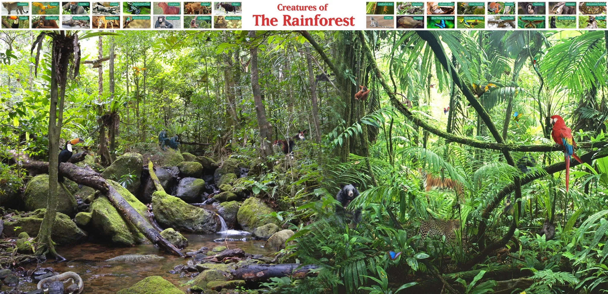Creatures Of The Rainforest Poster Tiger Moon