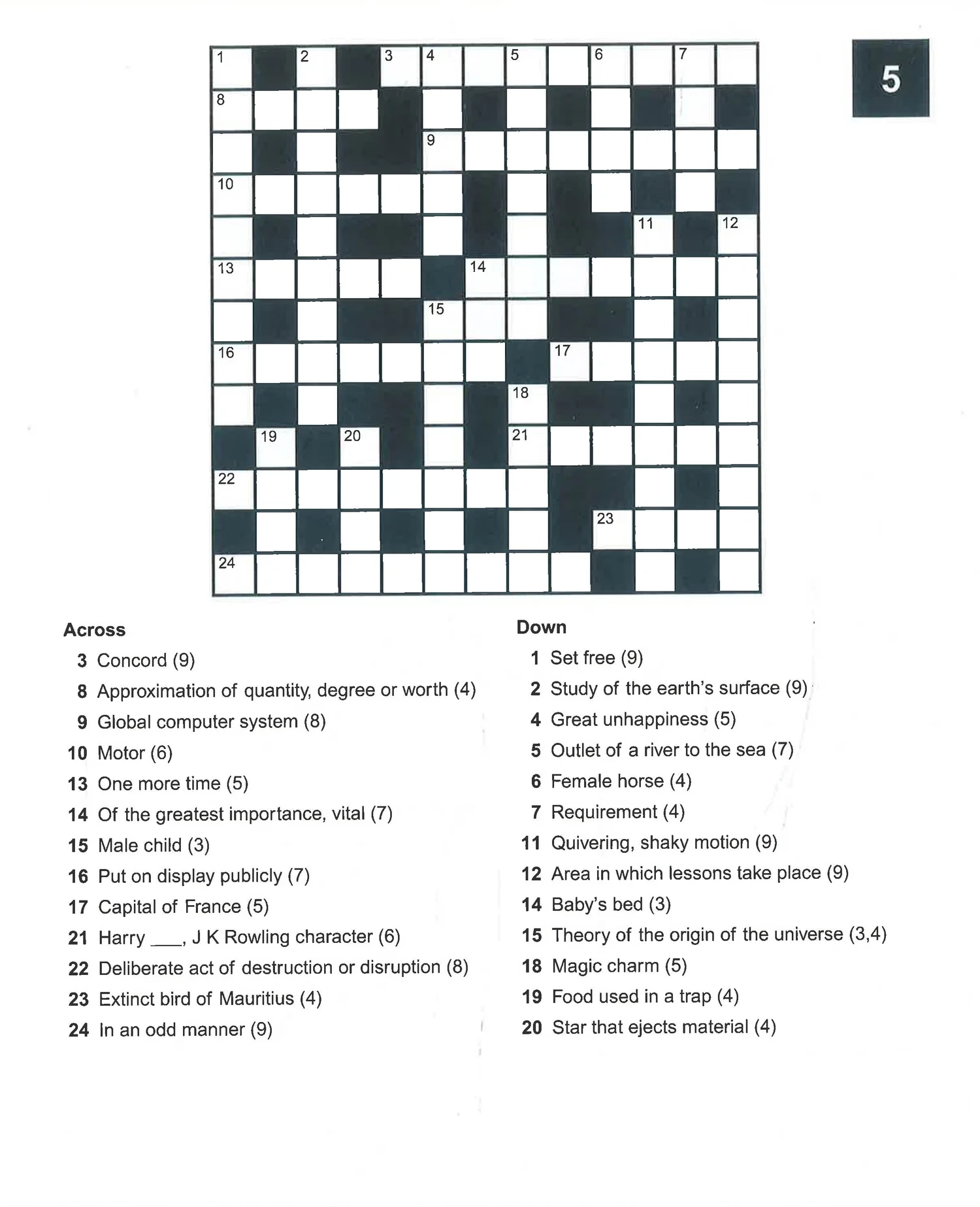 Crossword Large Print BookXcess