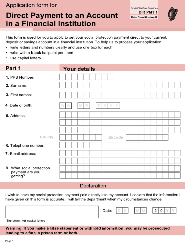 Dir Pmt 1 Form Fill Out amp Sign Online DocHub