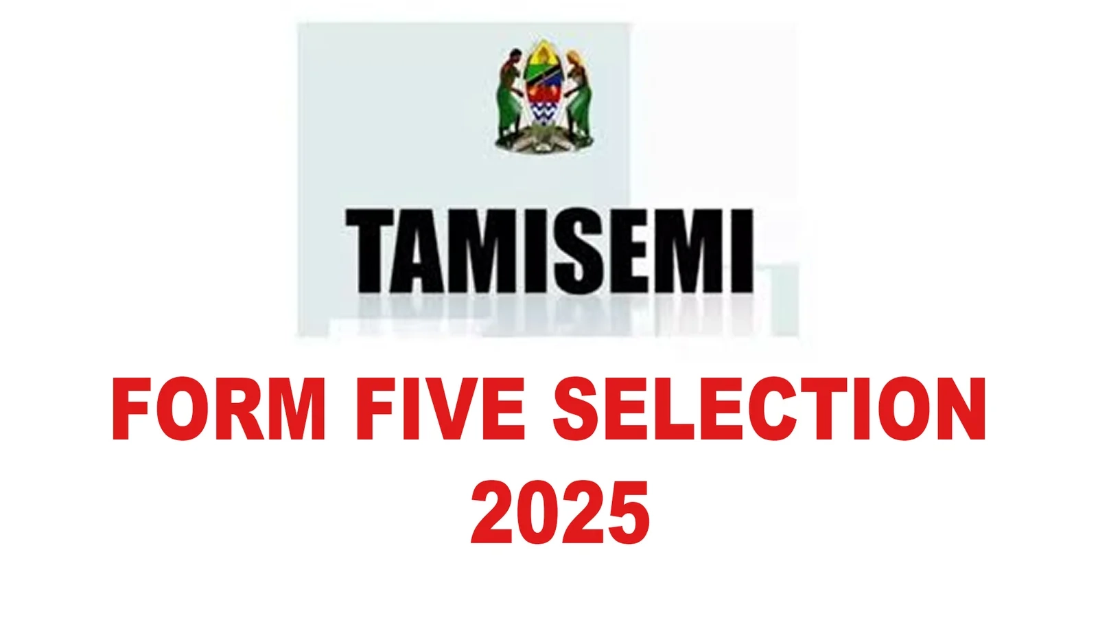 Tamisemi Form 5 Selection 2025
