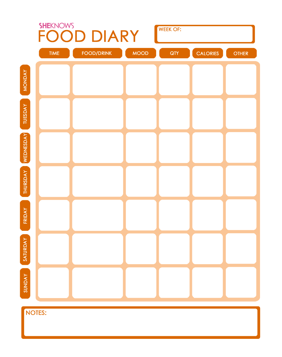 Free Printable Food Measurement Worksheets