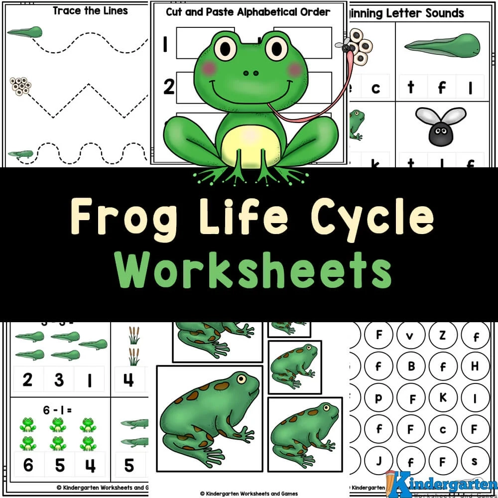 Free Printable Life Cycle Of A Frog Worksheet