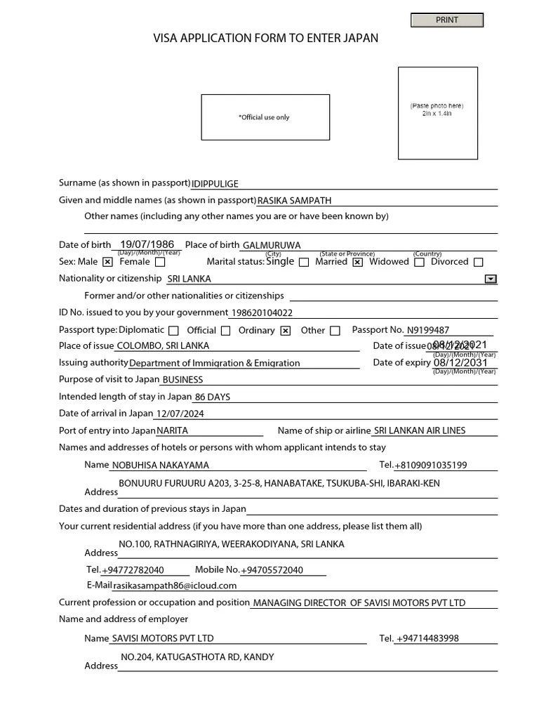 Japan Visa Application Form Details PDF Travel Visa Passport