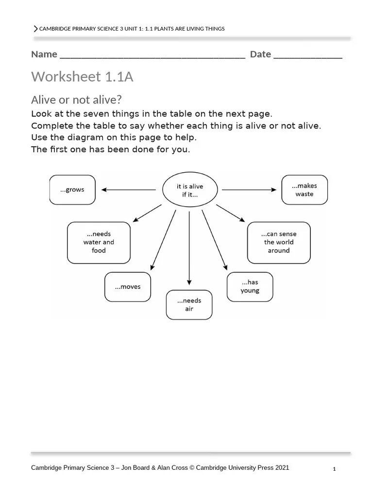 P Science 3 Worksheets Unit1 PDF