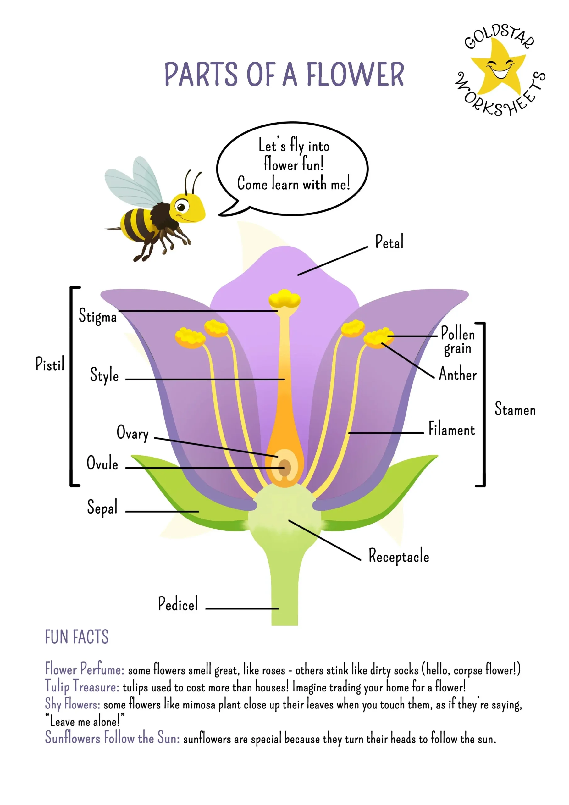Parts Of A Flower Worksheet For Grades 2 4 Fun And Educational 