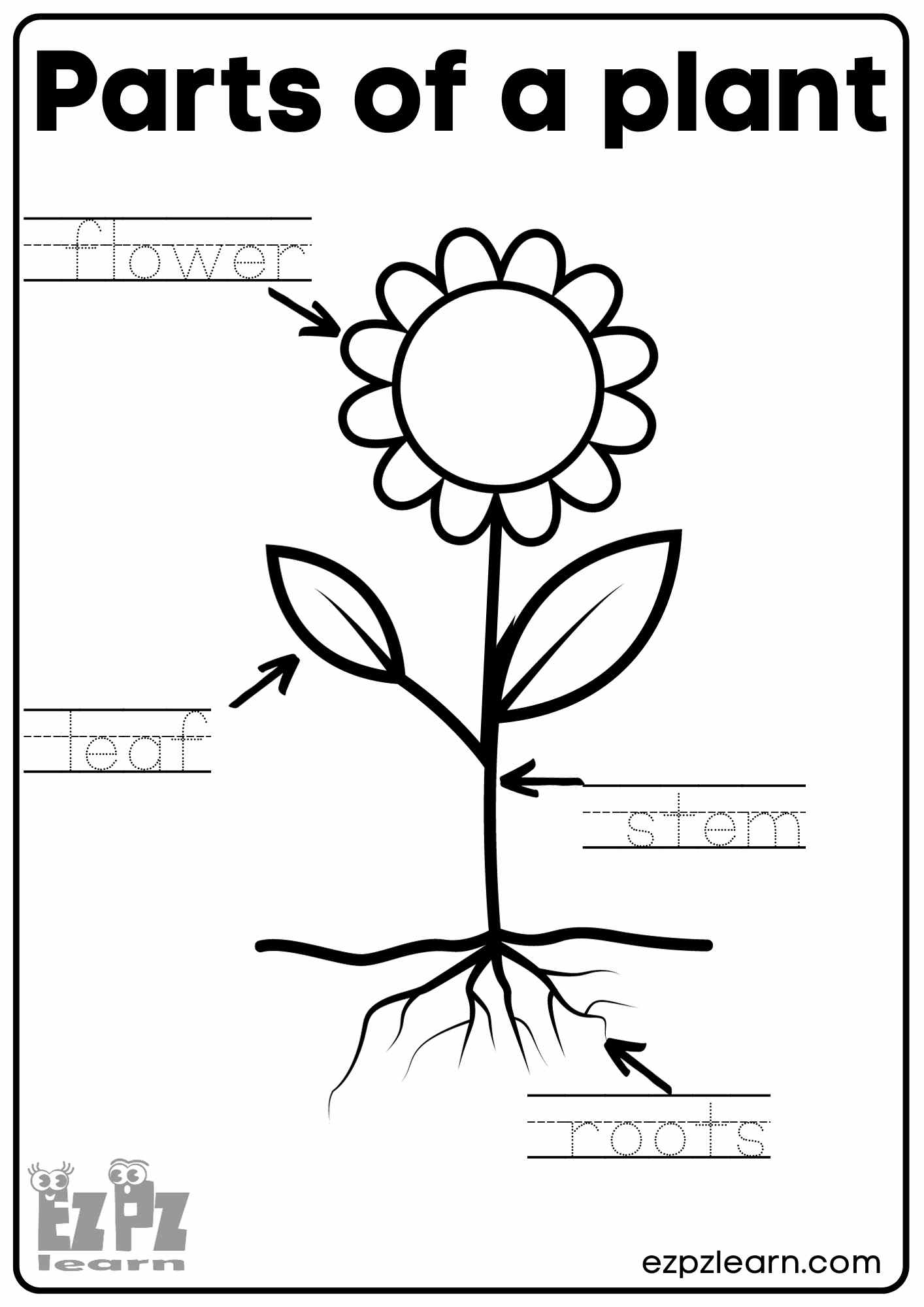 Parts Of A Flower Printable Worksheet