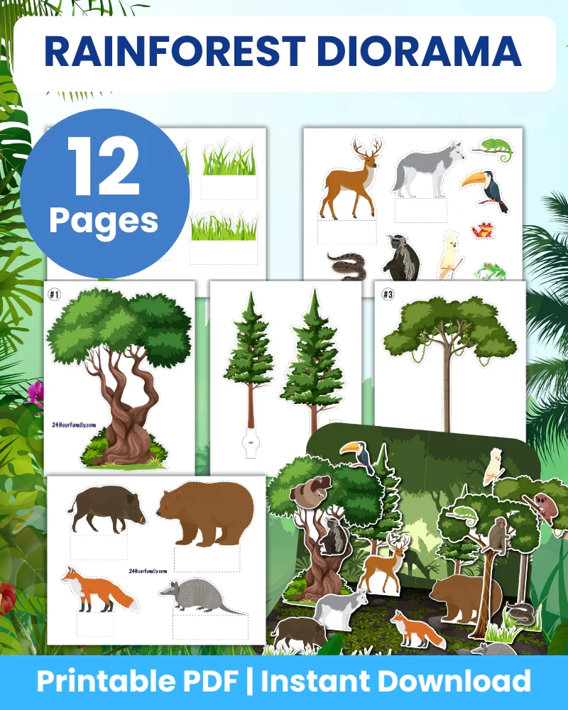 Printable Pictures Of The Rainforest