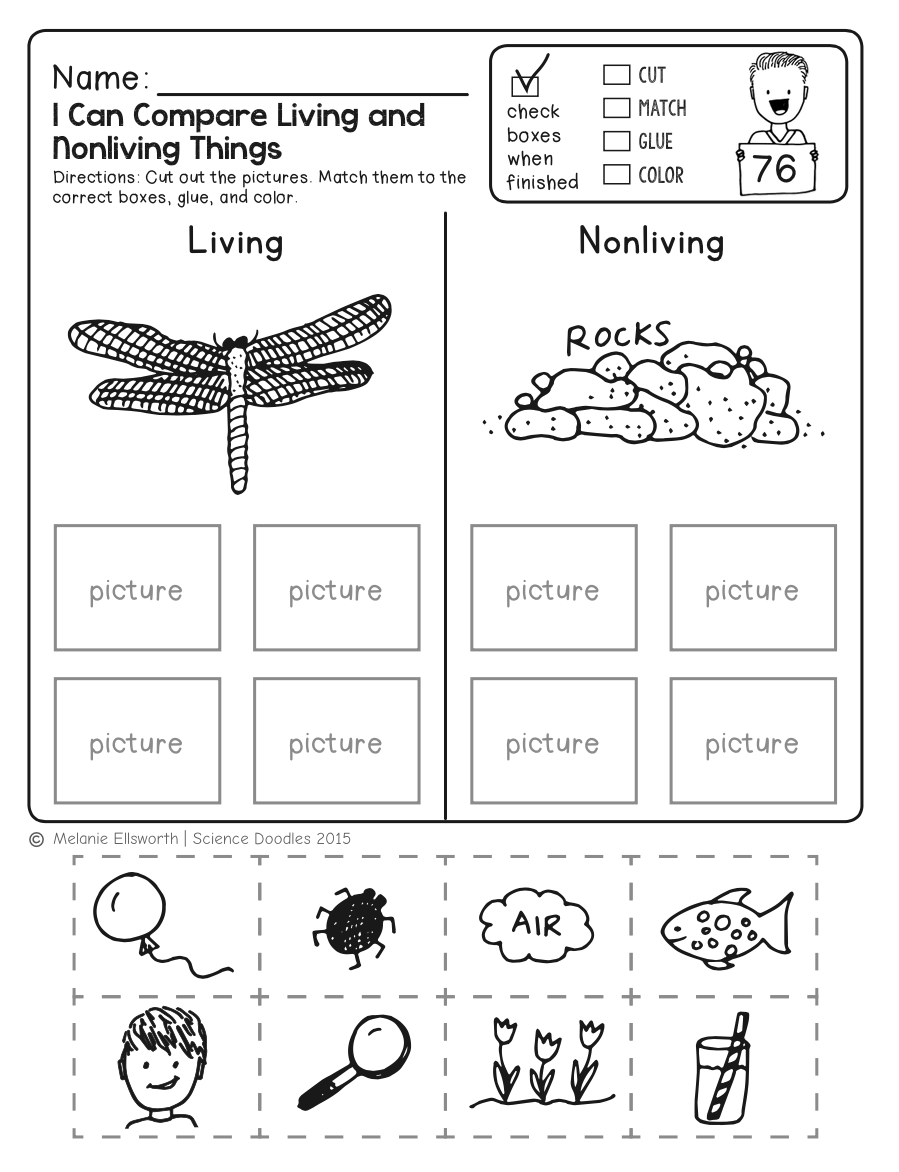 Kindergarten Worksheets Printable Science